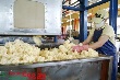 Xem xét chính sách thuế VAT với kinh doanh cao su